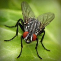 /album/ecosistema/photolia-a01-jpg/